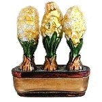 Hyacinths in Planter Yellow