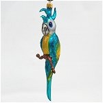 Blue and Gold Parrot